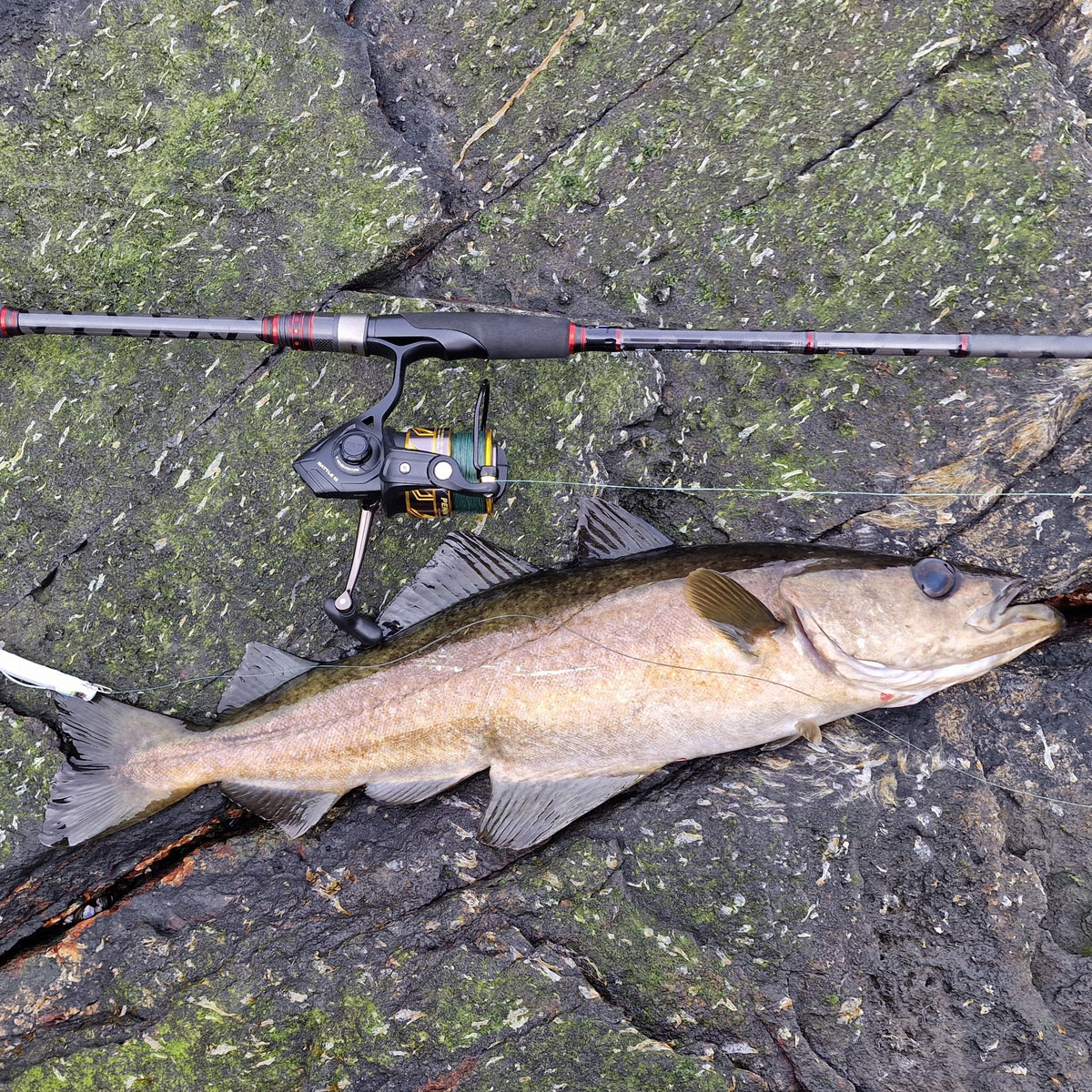 Loch Ness Tackle Soft Shrimp Lure - UV Red & Orange/Chartreuse Glow, 42mm For Kokanee & Trout