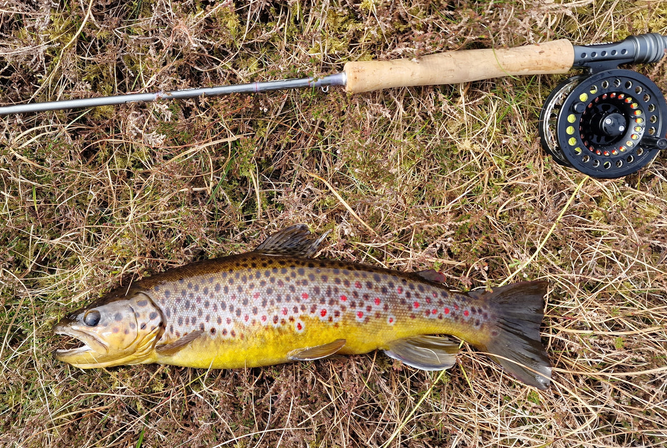 Fly Fishing