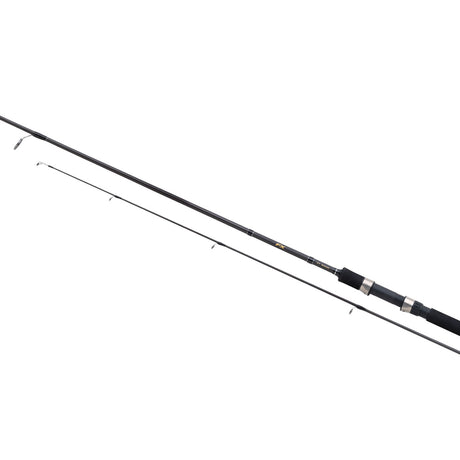 Shimano FXXT Spinning Rod 14 to 40g
